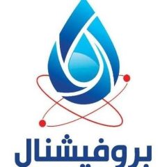 بروفيشنال سيرفيس